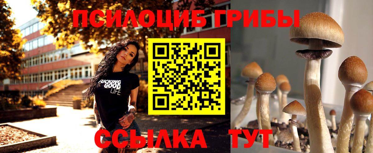 Галлюциногенные грибы MAGIC MUSHROOMS Железноводск