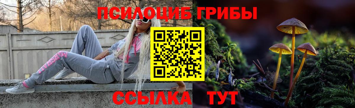Галлюциногенные грибы GOLDEN TEACHER  Псилоцибиновые грибы Cubensis  Железноводск  Вход с VPN 